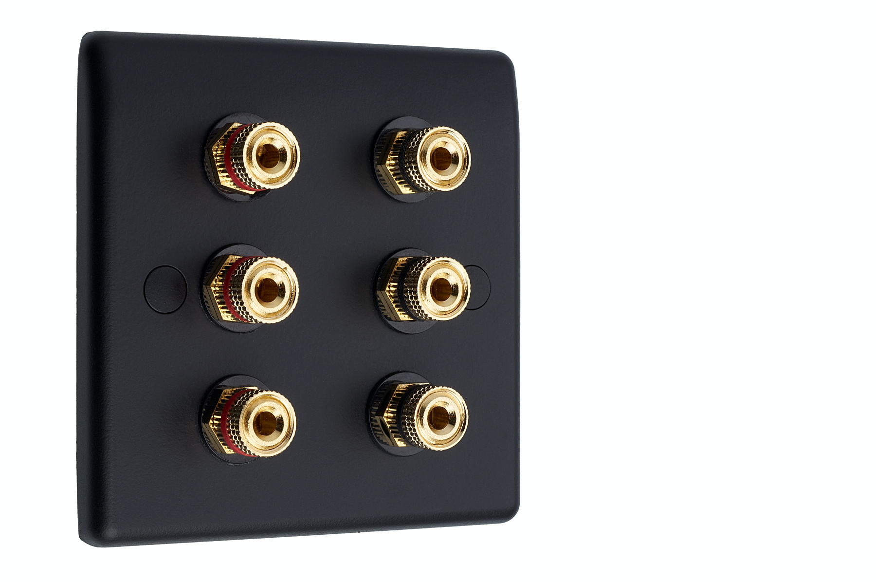 Speaker Wall Plate Matt Black 6 Gold Binding Posts AV Audio Nonsolder